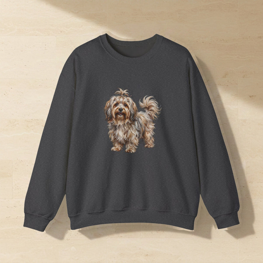 Havanese Sweatshirt laid flat on a warm limestone surface, shot from overhead