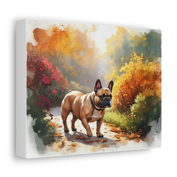 Watercolor Collection