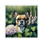 French Bulldog Watercolor Garden Peek Gift Set — Mug + Coaster + Sticker | Tritan