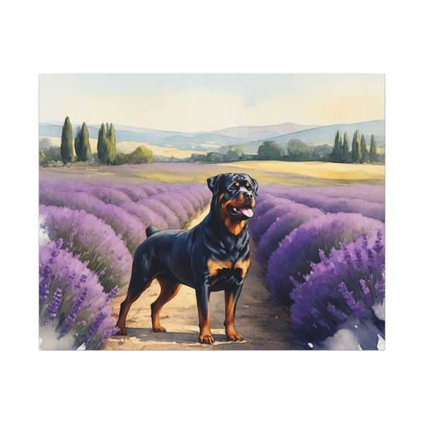 Rottweiler Watercolor Canvas Print, Dog Wall Art, Pet Lover Gift, Home Decor, Stretched Canvas, Canine Art