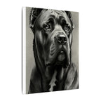 Cane Corso Charcoal Portrait Canvas Wall Art | Dog Lover Gift | Stretched Canvas Print | Modern Pet Decor