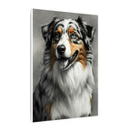 Australian Shepherd Charcoal Portrait Canvas Print, Aussie Dog Wall Art, Pet Lover Gift, Rustic Home Decor
