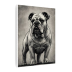 English Bulldog Charcoal Portrait, Bulldog Wall Art, Dog Lover Gift, Pet Art Canvas Print