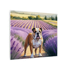 English Bulldog Watercolor Canvas Print | Dog Wall Art | Pet Lover Gift | Bulldog Mom Gift | Cute Dog Decor