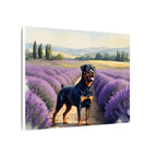 Rottweiler Watercolor Canvas Print, Dog Wall Art, Pet Lover Gift, Home Decor, Stretched Canvas, Canine Art