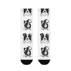 Border Collie Socks | Fun All Over Print Dog Socks | Border Collie Mom Gift | Cute Crew Socks for Dog Lovers | Stocking Stuffer