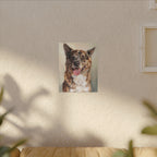 Apollo — Custom Shiba × Pomeranian Portrait Canvas