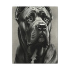 Cane Corso Charcoal Portrait Canvas Wall Art | Dog Lover Gift | Stretched Canvas Print | Modern Pet Decor