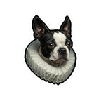 Boston Terrier Renaissance Royal Portrait Sticker, Dog Portrait Vinyl Decal, Kiss-Cut Sticker, Boston Terrier Lover Gift