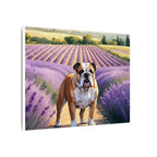 English Bulldog Watercolor Canvas Print | Dog Wall Art | Pet Lover Gift | Bulldog Mom Gift | Cute Dog Decor
