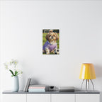 Shih Tzu Oil Painting Soccer Portrait Canvas Wall Art | Dog Lover Gift | Pet Decor | Sports Fan Art