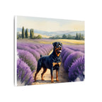 Rottweiler Watercolor Canvas Print, Dog Wall Art, Pet Lover Gift, Home Decor, Stretched Canvas, Canine Art