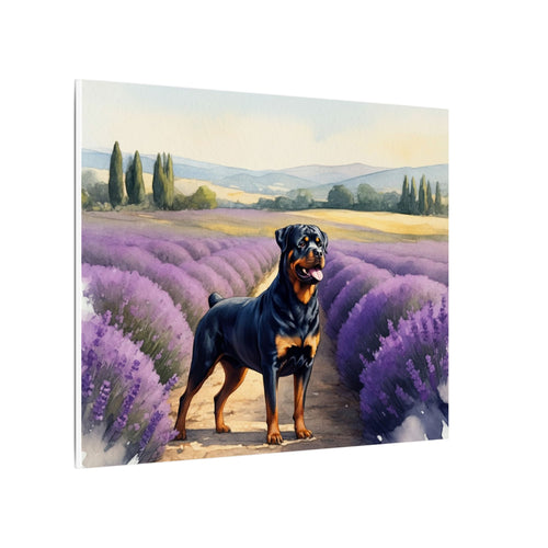 Rottweiler Watercolor Canvas Print, Dog Wall Art, Pet Lover Gift, Home Decor, Stretched Canvas, Canine Art
