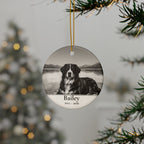 Personalized Bernese Mountain Dog memorial ornament hanging on a Christmas tree, shown with the sample name Bailey