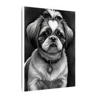 Shih Tzu Charcoal Portrait Canvas Wall Art - Dog Lover Gift, Pet Owner Decor, Modern Animal Art