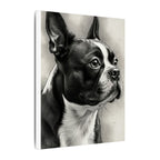 Boston Terrier Charcoal Portrait Canvas | Dog Lover Gift | Pet Memorial Wall Art | Modern Home Decor | Black & White Dog Painting Print