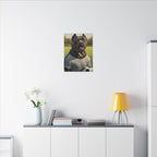Cane Corso Oil Painting Soccer Portrait Canvas Wall Art | Dog Lover Gift | Athletic Pet Decor
