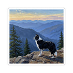 Border Collie Acrylic vinyl sticker by Tritan, front