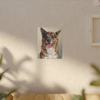 Apollo | Custom Shiba × Pomeranian Portrait Canvas