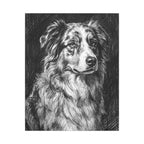 Australian Shepherd Charcoal canvas print by Tritan, front