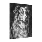 Australian Shepherd Charcoal canvas print by Tritan, side