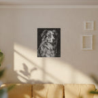 Australian Shepherd Charcoal canvas print by Tritan, sofa wall