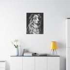 Australian Shepherd Charcoal canvas print by Tritan, desk wall