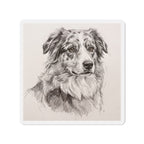 Australian Shepherd Graphite die-cut magnet by Tritan, front