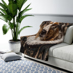 Australian Shepherd Renaissance Royal sherpa blanket by Tritan, on sofa