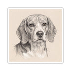 Beagle Graphite vinyl sticker by Tritan, front