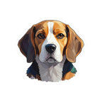 Beagle Low Poly vinyl sticker by Tritan, front