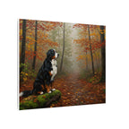 Bernese Mountain Dog Acrylic canvas print by Tritan, side