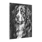 Bernese Mountain Dog Charcoal canvas print by Tritan, side