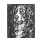 Bernese Mountain Dog Charcoal canvas print by Tritan, front
