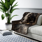 Border Collie Medieval Knight sherpa blanket by Tritan, on sofa