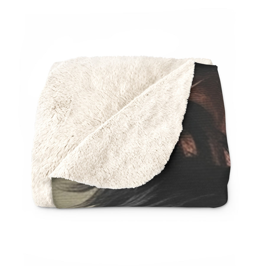 Border Collie Renaissance Royal Portrait Throw Blanket | Premium Dog Prints | Tritan