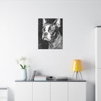 Boston Terrier Charcoal canvas print by Tritan, desk wall