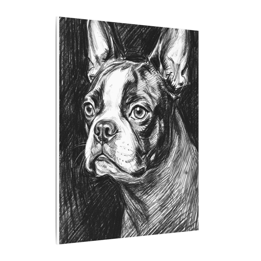 Boston Terrier Charcoal canvas print by Tritan, side