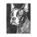 Boston Terrier Charcoal canvas print by Tritan, front