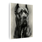 Cane Corso Charcoal Portrait Canvas Wall Art | Dog Lover Gift | Stretched Canvas Print | Modern Pet Decor