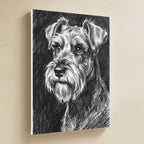 Miniature Schnauzer Charcoal canvas print by Tritan, angled view