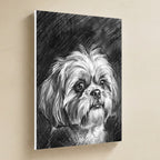 Shih Tzu Charcoal canvas print by Tritan, angled view