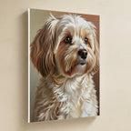 Havanese Oil Portrait canvas print by Tritan, angled view
