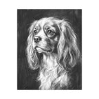 Cavalier King Charles Spaniel Charcoal canvas print by Tritan, front