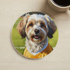 Havanese Oil Painting Soccer Portrait Coaster, Dog Art Decor, Pet Lover Gift, Havanese Mom Dad Gift cork coaster shown on a warm limestone surface beside a mug