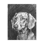 Dachshund Charcoal canvas print by Tritan, front