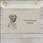 Great Dane Doormat shown flat on a pale painted porch outside a white front door