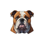 English Bulldog Low Poly vinyl sticker by Tritan, front