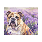English Bulldog Watercolor canvas print by Tritan, front