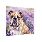 English Bulldog Watercolor canvas print by Tritan, side